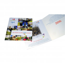 Carte publicitaire personnalisée 2 volets + sachet de graines, goodies original vert écologique, objet pub naturel