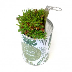 La canette à graines publicitaire est un kit de plantation complet, entièrement personnalisée en quadri à votre communication