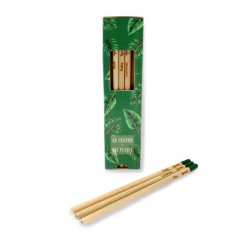 Coffret de 3 crayons à graines publicitaires, en bois de cèdre, contient une capsule biodégradable renfermant des graines.