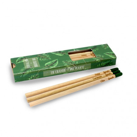 Coffret de 3 crayons à graines publicitaires, en bois de cèdre, contient une capsule biodégradable renfermant des graines. Coffret de 3 crayons à graines publicitaires, en bois de cèdre, contient une capsule biodégradable renfermant des graines.