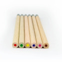 Coffret de 6 crayons à graines publicitaires, en bois de cèdre, avec capsule biodégradable renfermant des graines.