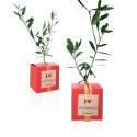 Cube Arbre, plant d'arbre objet publicitaire, cadeau séminaire entreprise, incentive, écologique, communication