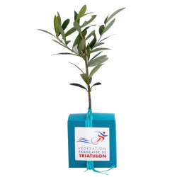 Cube Arbre, plant d'arbre objet publicitaire, cadeau séminaire entreprise, incentive, écologique, communication