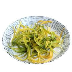 Ylang Ylang Cananga odorata Canangium odoratum King fleur des fleurs Perfume Tree