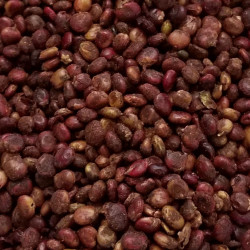 Sumac (Rhus coriaria) < Les épices de A à Z