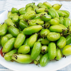 Averrhoa bilimbi, Arbre à cornichons, oxalis, oxalydaceae, fruit, cucumber tree, graines