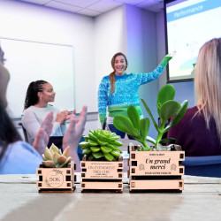 Tiny Plante Wooden Box, boite en bois au logo personnalisable, cadeau clientèle, goodies, cadeau d'entreprise, conférence