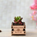 Tiny Plante Wooden Box, mini plante cactus boite en bois au logo personnalisable pour un mariage, petit format, message gravure