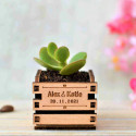 Tiny Plante Wooden Box, mini plante cactus boite en bois au logo personnalisable pour un mariage, moyen format, message gravure