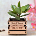 Tiny Plante Wooden Box, mini plante cactus boite en bois au logo personnalisable pour un mariage, grand format, message gravure