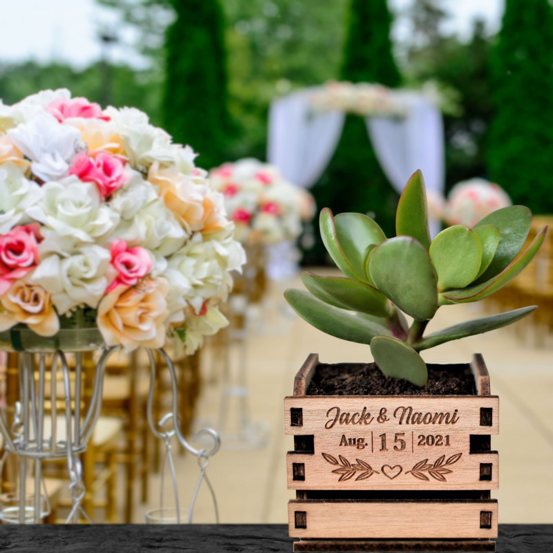 Tiny Plante Wooden Box, boite en bois personnalisable, cadeau original invités mariage, gift nature, cactus, succulente