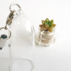 Babyplante Little Gem porte clé mini cactus