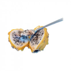 Selenicereus megalanthus, Hylocereus megalanthus, Pitaya jaune, Fruit du dragon, cactus, yellow dragon