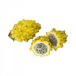 Selenicereus megalanthus, Hylocereus megalanthus, Pitaya jaune, Fruit du dragon, cactus, yellow dragon