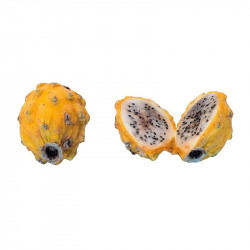 Selenicereus megalanthus, Hylocereus megalanthus, Pitaya jaune, Fruit du dragon, cactus, yellow dragon