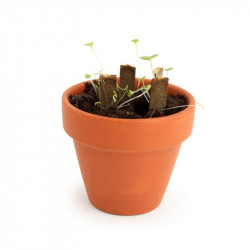 Coffret 5 bâtonnets de graines publicitaire, goodies écologique, objet promotionnel, communication, cadeau, entreprise