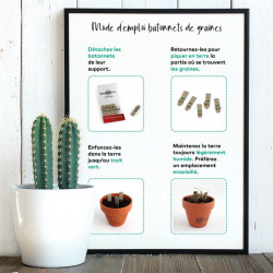 Coffret 5 bâtonnets de graines publicitaire, goodies écologique, objet promotionnel, communication, cadeau, entreprise