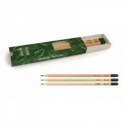 Coffret de 3 crayons à graines publicitaires, en bois de cèdre, contient une capsule biodégradable renfermant des graines.