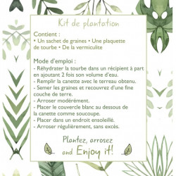 La canette à graines publicitaire est un kit de plantation complet, personnalisation, mode d'emploi, objet publitaire écologique