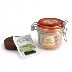 Bocal à graines publicitaire, kit de plantation complet, croissance et développement, plante, goodies écologique