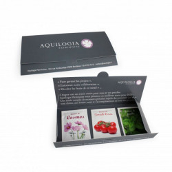 Coffret 3 sachets de graines publicitaire personnalisé, goodies original vert écologique, objet pub naturel