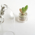 Babyplante Minibocho mini plante cactus porte clé