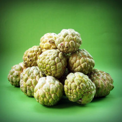 graines Annona squamosa, Pomme cannelle, Sugar apple, Annone, attier, atte, Famille : Annonacées