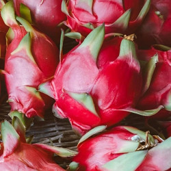 Pitaya sanguin, cactus nocturne du Costa Rica, Selenicereus ou Hylocereus costaricensis, fruit du dragon rouge