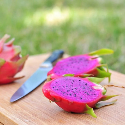 60 Graines De Fruit Du Dragon (Pitaya) - Cactus Hylocereus Undatus Pour Culture Intérieur/Extérieur