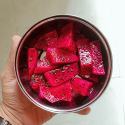 Pitaya sanguin, cactus nocturne du Costa Rica, Selenicereus ou Hylocereus costaricensis, fruit du dragon rouge