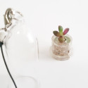 Babyplante Stone Rose mini cactus porte clé