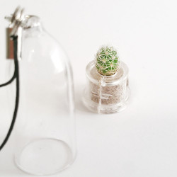 Babyplante Snow Cactus Mammillaria gracilis porte clé mini plante capsule