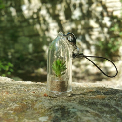 Babyplante Green Pet porte clé cactus Sedum spiral staircase