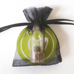 Sachet Organza pour Babyplante