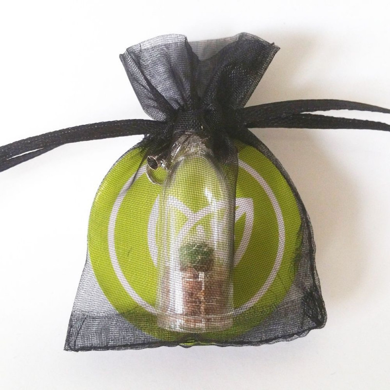 Sachet Organza pour Babyplante Sachet Organza pour Babyplante