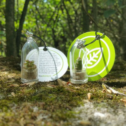 Notice mode d'emploi entretien babyplantes