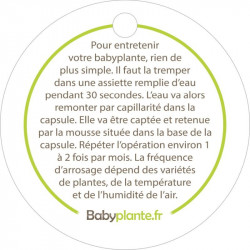 Notice mode d'emploi entretien babyplantes