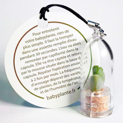Cartonette ronde quadrichromie pour personnaliser vos babyplantes - cadeau goodies original écologique