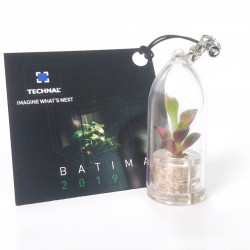 Personnalisez vos babyplantes avec une cartonette carrée quadrichromie recto/verso  - cadeau Technal goodies original écologique