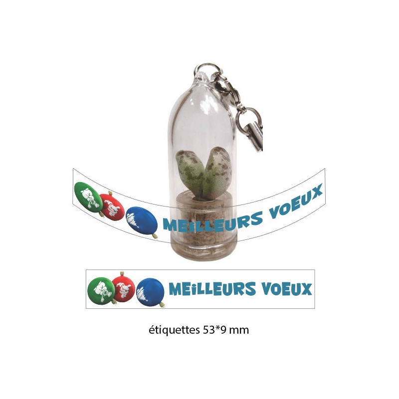 Personnalisation babyplante avec étiquette quadrichromie - cadeau goodies original écologique Personnalisation babyplante avec étiquette quadrichromie - cadeau goodies original écologique