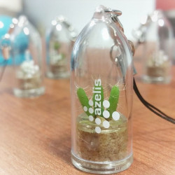 Babyplante avec tampographie 1 couleur