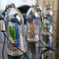 Babyplante avec tampographie 1 couleur