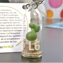 Babyplante avec tampographie 1 couleur