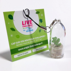 Babyplante personnalisée avec une cartonette carrée attachée au cordon du porte clé plante