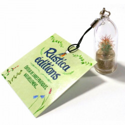 Babyplante personnalisée avec une cartonette carrée attachée au cordon du porte clé cactus