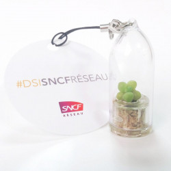 Babyplante personnalisée avec une cartonette ronde attachée au cordon du porte clé