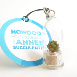 Babyplante personnalisée avec une cartonette ronde attachée au cordon du porte clé