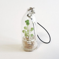 Babyplante personnalisée par tampographie 1 couleur objet publicitaire goodies écologique mini plante cactus porte clé