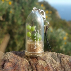 Babyplante personnalisée par tampographie 1 couleur objet publicitaire goodies écologique mini plante cactus porte clé