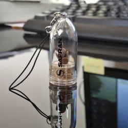 Babyplante personnalisée par tampographie 1 couleur objet publicitaire goodies écologique mini plante cactus porte clé